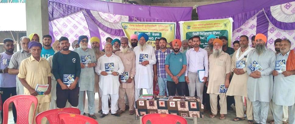 Krishi Vigyan Kendra, Langaroa, Shaheed Bhagat Singh Nagar organized a training camp for successful cultivation of sesame seeds.
